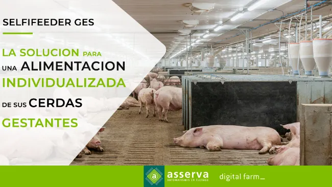 SELFIFEEDER GES - Estación ESF fácil y eficiente