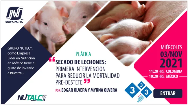 Grupo Nutec presente en el 333 Experience Congress LATAM 2021 el día 03 de noviembre