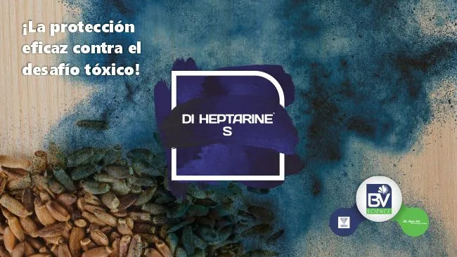 Mecanismos técnicos del estrés oxidativo y métodos de control