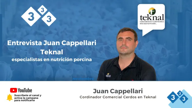 Teknal nos cuenta sus estrategias para desarrollar la linea porcinos 
