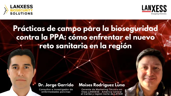 Prácticas de campo para la bioseguridad contra la PPA: cómo enfrentar el nuevo reto sanitario