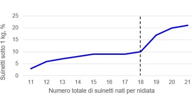 Migliorare il peso alla nascita si può!