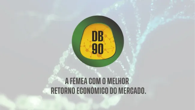 Conheça a fêmea DB 90!