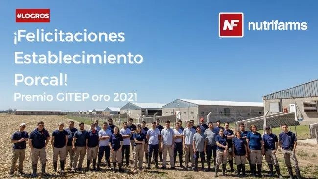 Establecimiento Porcal obtuvo el premio GITEP de oro 2021