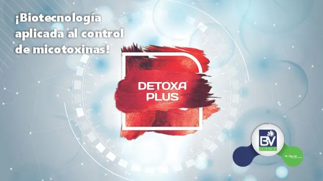 Actividad detoxificante del Detoxa Plus®