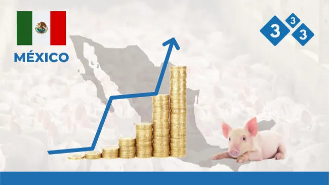 Coyuntura global impacta los precios de la carne de cerdo al consumidor 