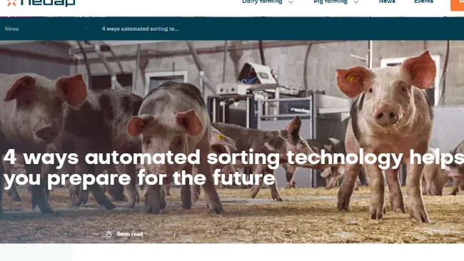4 ways automated sorting technology helps you prepare for the future