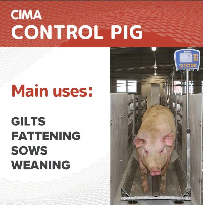 CIMA CONTROL PIG 🐷