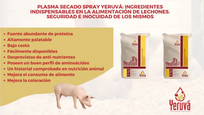 Hemoderivados: ¿Cómo aseguramos las propiedades nutricionales e inocuidad de nuestros productos?