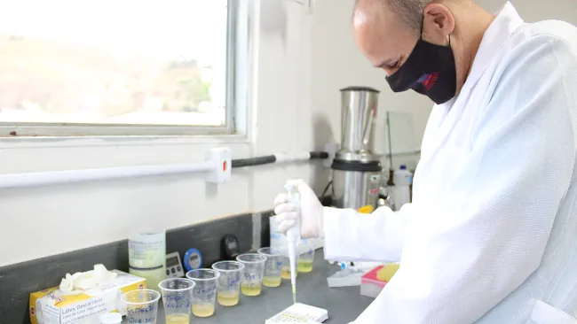 Laboratório de Micotoxinas contribui para melhoria da qualidade na produção  
