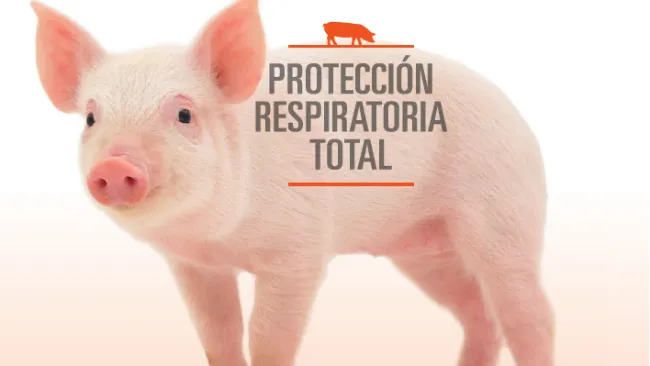 Recomendaciones para el control efectivo de Enfermedad de Glasser (Glaserella parasuis)