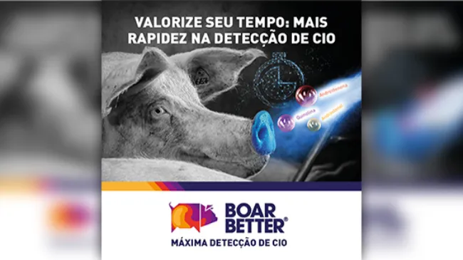 Por que a detecção de cio é importante?