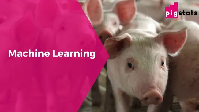 Machine Learning una herramienta para mejorar la gestión y aprendizaje en las granjas de cerdos