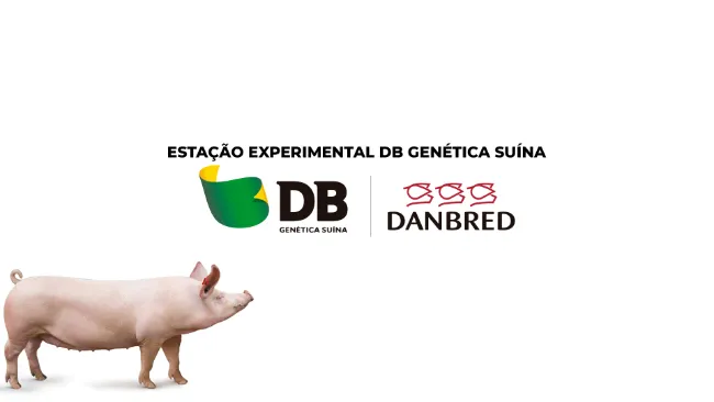 Estação experimental da DB Genética Suína