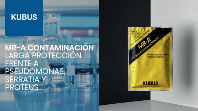Diluyente de semen de verraco: MR-A contaminación