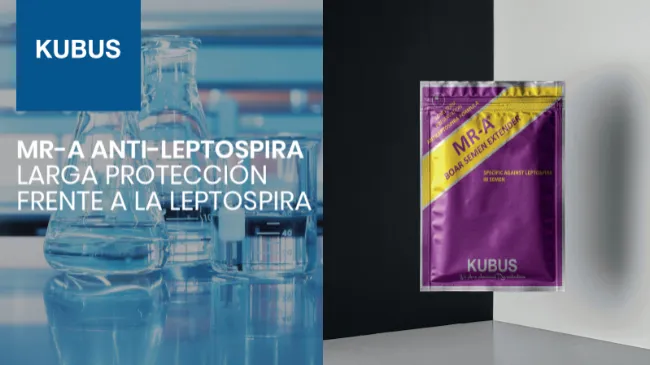 Diluyente de semen de verraco: MR-A ANTI-LEPTOSPIRA