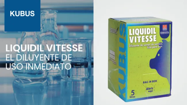 Diluyente de semen de verraco: LIQUIDIL VITESSE