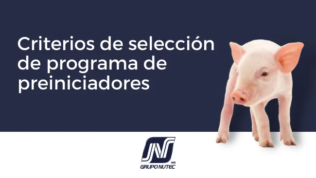 Criterios a considerar para la elección del programa de  alimentación en lechones (Preiniciadores)