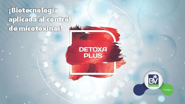 Actividad detoxificante del Detoxa Plus®