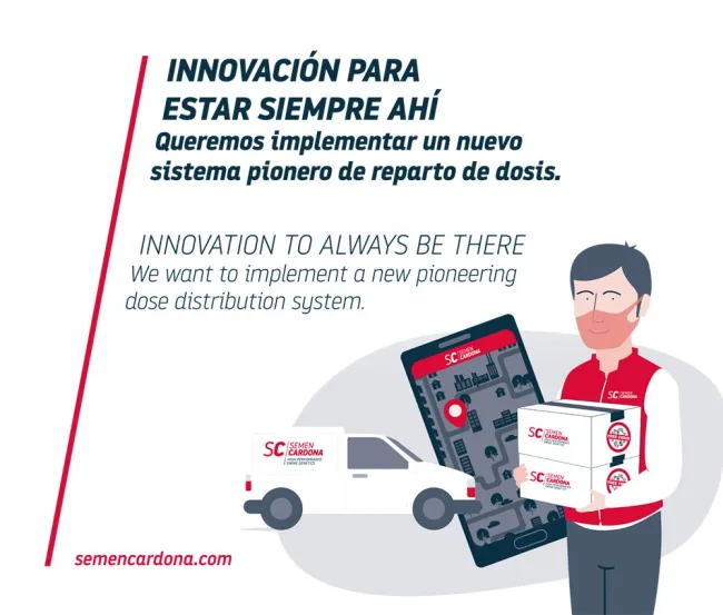 ✅ Siempre estamos innovando.