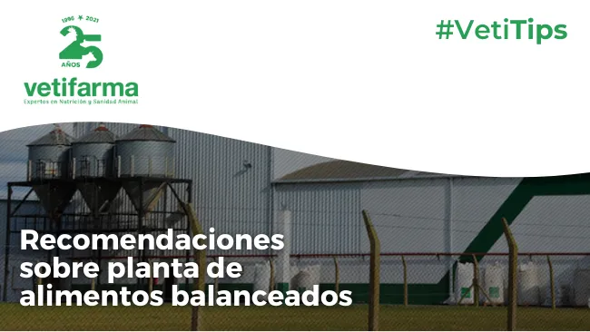 Planta de alimentos balanceados en granja de producción porcina
