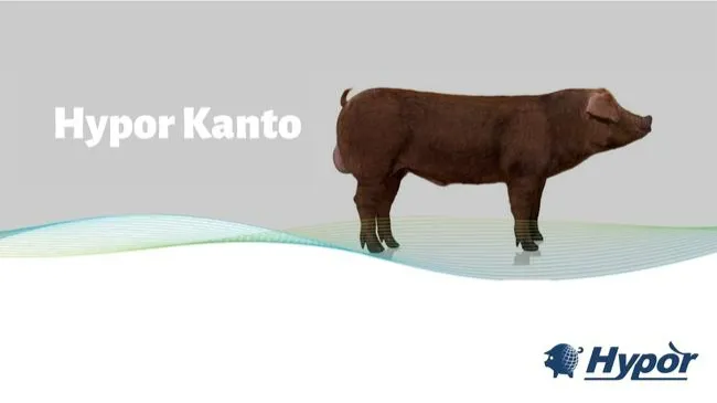 Nuestra línea de finalizadores Duroc para calidad de carne