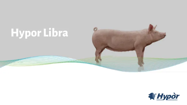 Hypor Libra: la cerda más eficiente