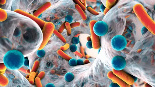 Enfoque en la higiene del pienso y la salud intestinal hacia una producción libre de antibióticos