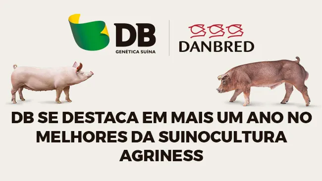 DB se destaca em mais um ano no Melhores da Suinocultura Agriness