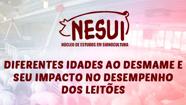  Diferentes idades ao desmame e seu impacto no desempenho dos leitões