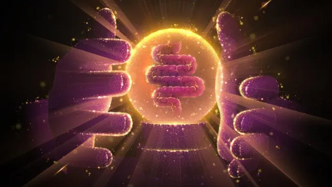 Perstorp presentará GastriVision™ 2022 - un vistazo al brillante futuro de la salud digestiva