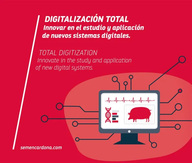 ✅ Hemos integrado la digitalización en todo nuestro proceso product...