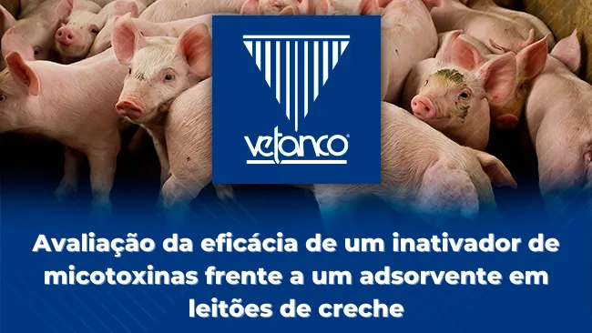 Avaliação da eficácia de um inativador de micotoxinas frente a um adsorvente em leitões de creche
