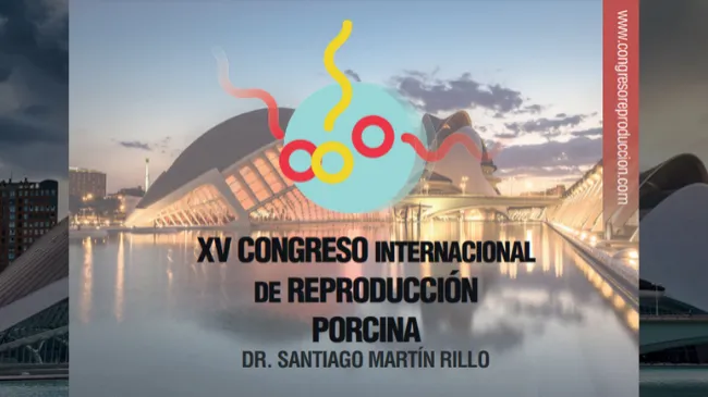Se acerca el XV Congreso Internacional de Reproducción Porcina