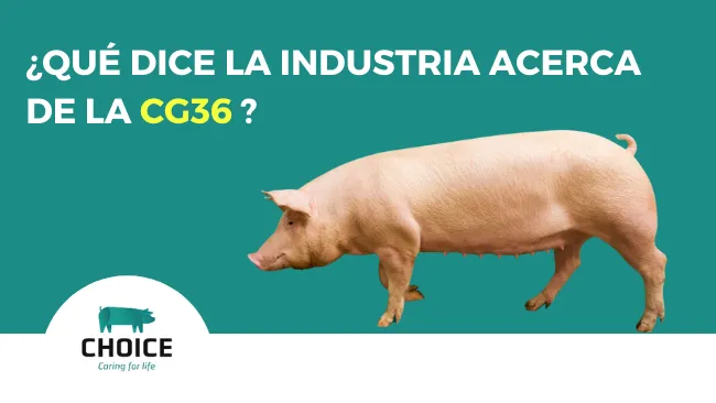 ¿Qué dice la industria acerca de la CG36?