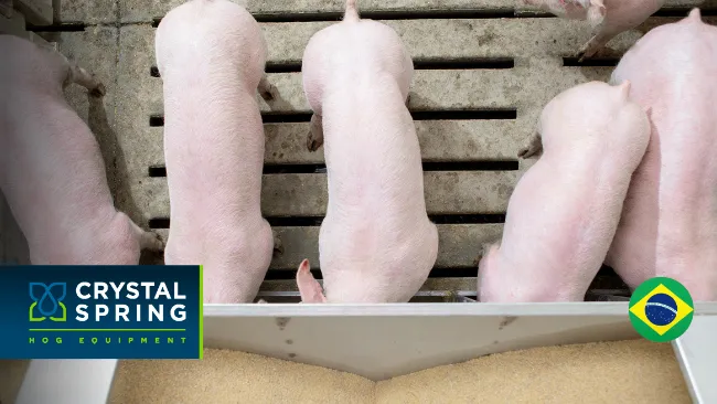 Como Podemos Melhorar A Eficiência Com Alimentação Seco Úmida?