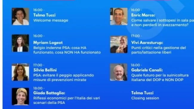 333 Experience Congress Italia