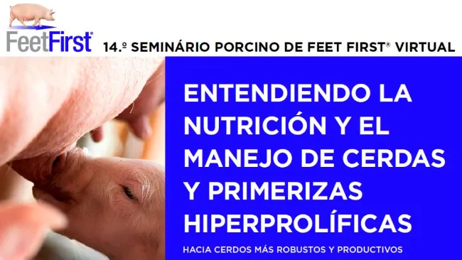 14º seminario online de porcino de Zinpro Feet First®