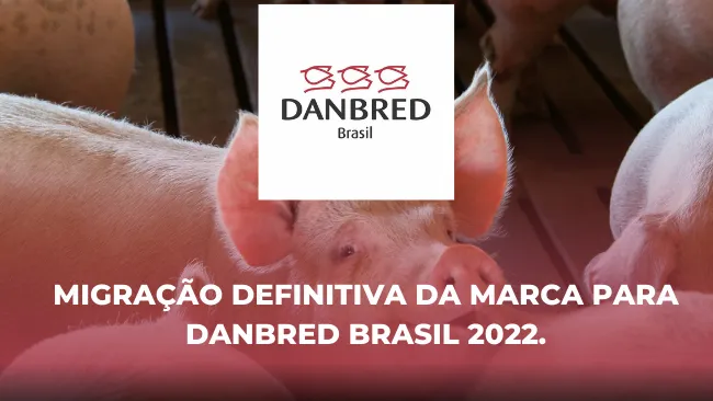 [DanBred] Migração definitiva da marca para DanBred Brasil 2022.