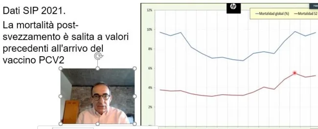 Enric ci parlerà di come portare i suinetti che nascono sottopeso fin...