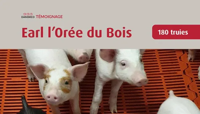 Témoignage d'éleveur : le couple DanBred, un choix qui paye !