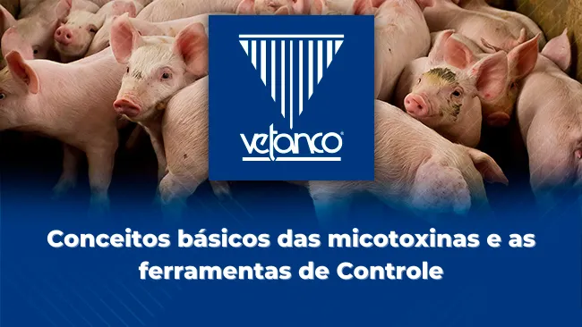 Conceitos básicos das micotoxinas e as ferramentas de controle
