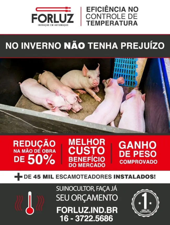Conheça os aquecedores Forluz, soluções inteligente para a sua suin...