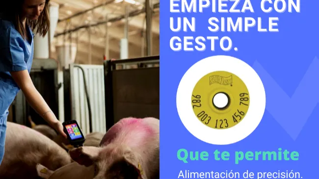La digitalización empieza por un simple gesto