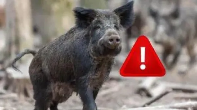 Spécial PPA: rubrique spéciale afin que vous ayez toutes les informa...