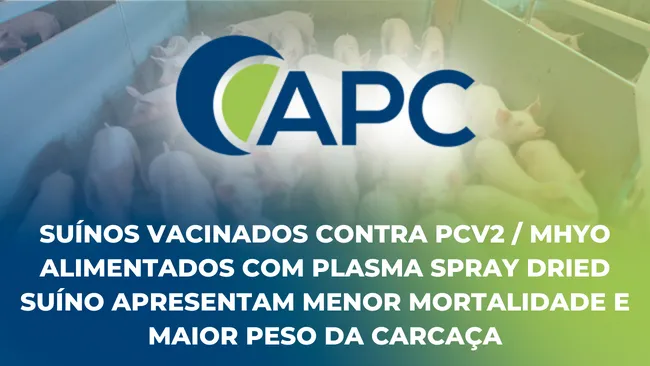 Nota técnica - suínos vacinados contra PCV2/Mhyo alimentados com plasma spray dried suíno