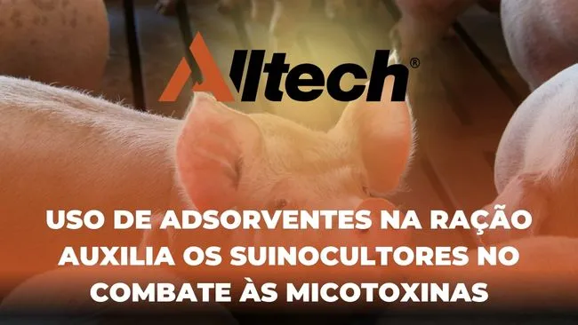 Uso de adsorventes na ração auxilia os suinocultores no combate às micotoxinas