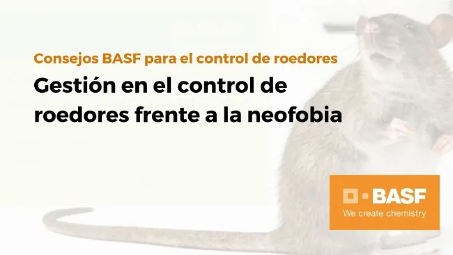 Gestión en el control de roedores frente a la neofobia