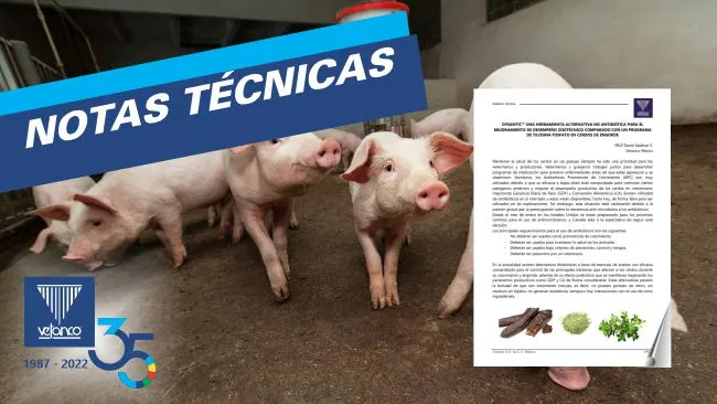 DYSANTIC™ Una herramienta alternativa no antibiótica para el mejoramiento de desempeño zootécnico