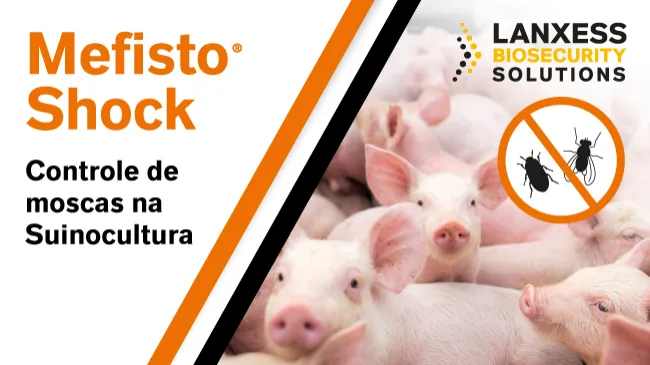 Mefisto Shock®  e o controle de moscas na Suinocultura